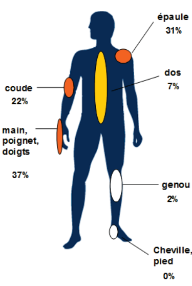 TMS répartition